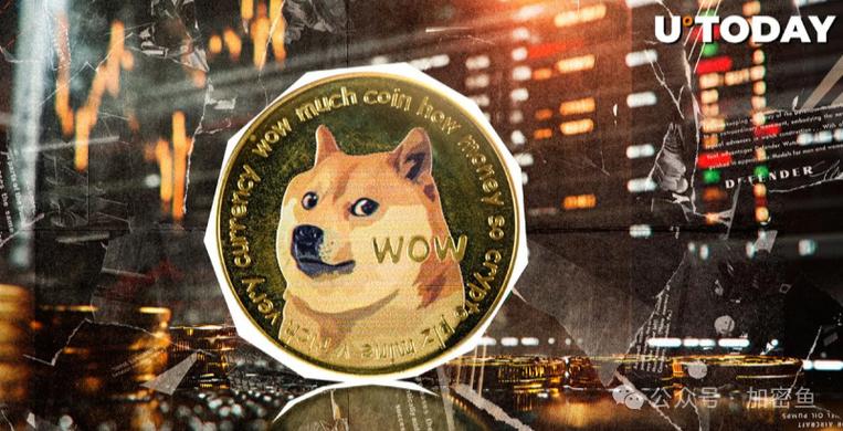 狗狗币中文版app下载安装,狗狗币官网下载appios版