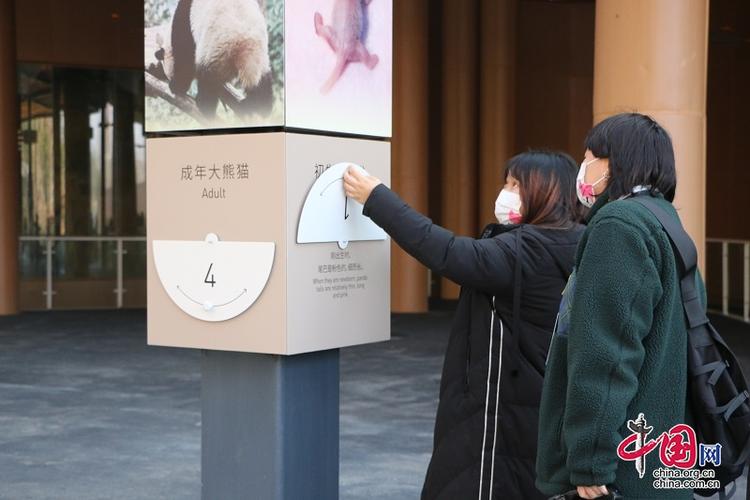 波卡猫欢乐世界成都,成都去哪里看大熊猫最好
