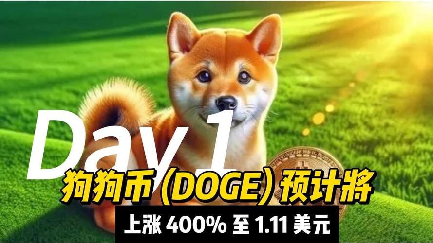 狗狗币官方网下载挖矿,狗狗币免费挖币app下载