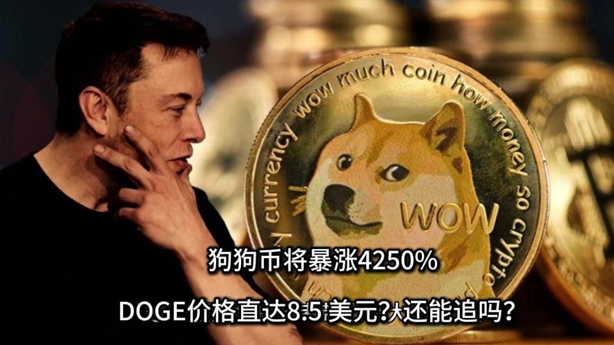 狗狗币今日报价,狗狗币今日价格走势