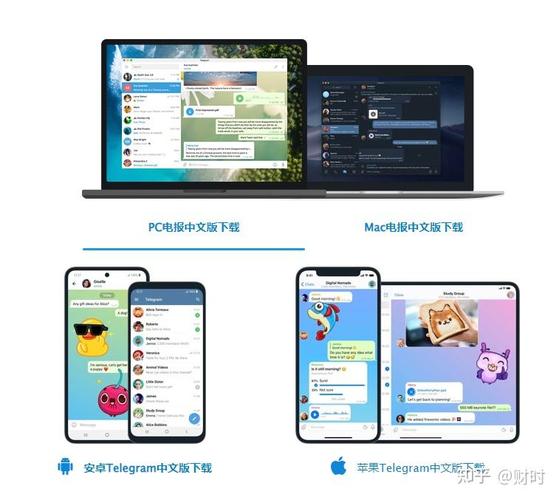 tg怎么下载,telegraph苹果安装教程