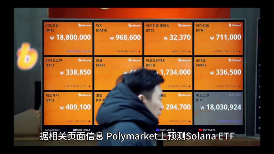 关于SOLG代币2024年最新消息的信息
