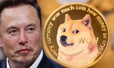 狗狗币多少钱一个,狗狗币多少钱一个?