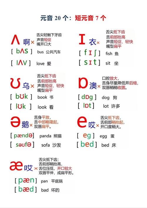 line的音标,trampoline的音标