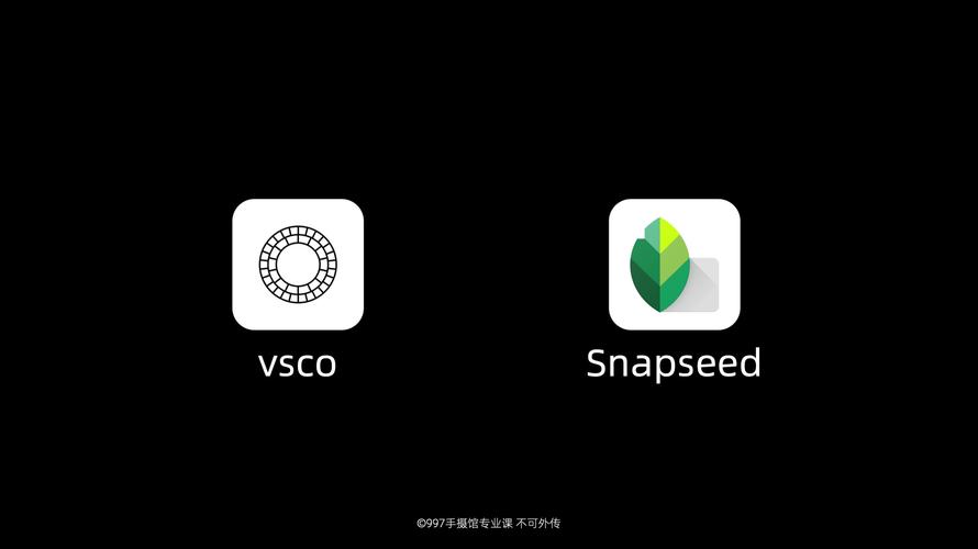 snapseed中文版app,snapseed中文版app收费吗