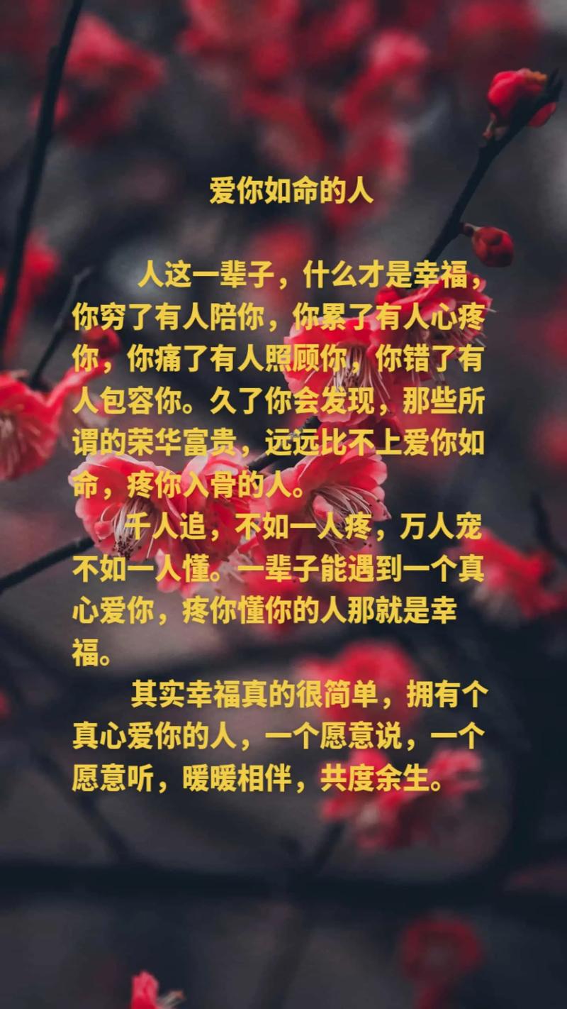 什么是爱图片,什么是爱情的图片句子