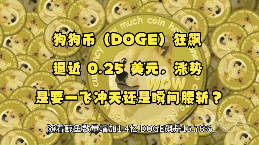 今年狗狗币最高涨到多少美元,今年狗狗币最高涨到多少美元了