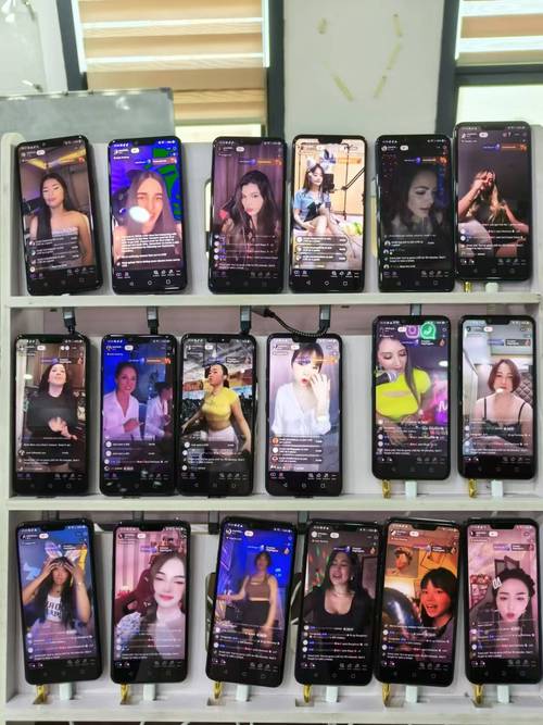 tiktok平台,TikTok平台上电子类产品以及服装类产品的热门带货主播