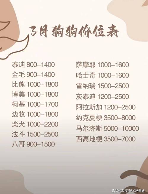 柴犬币暴涨28万倍,17年买1万狗狗币现在有多少