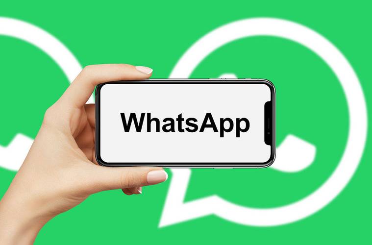 whatsapp官网,whatsapp官网下载