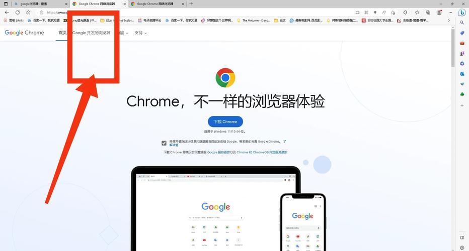 谷歌浏览器网页,谷歌浏览器网页版入口在哪里