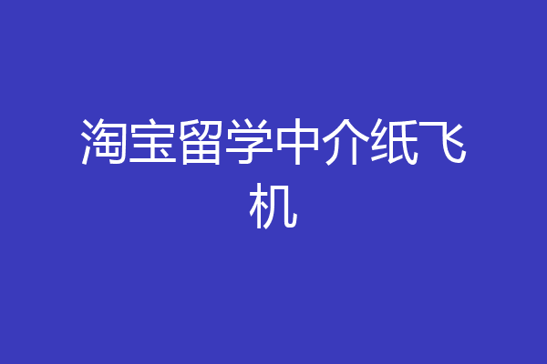 关于纸飞机语言怎么转化成中文的信息