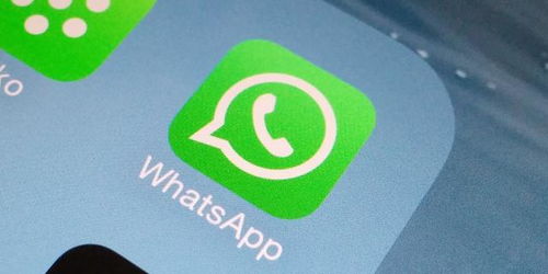 whatsapp官网手机版app，whatsappapplicationdownload