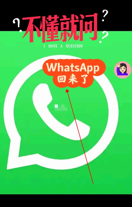 whatsapp下载安卓，whatsapp下载安卓官网