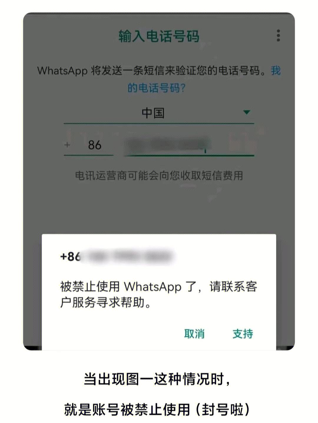 关于香港聊天工具whatsapp的信息
