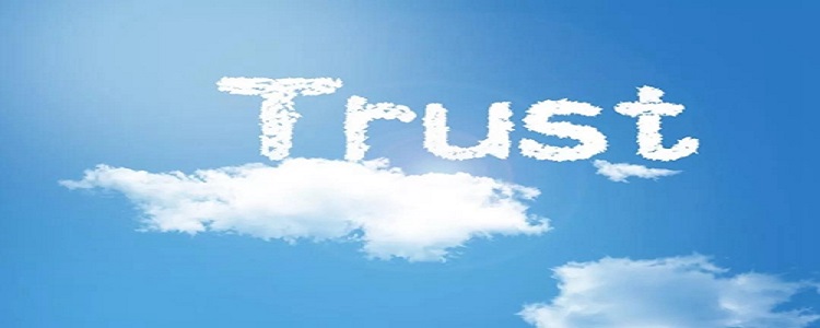 trust是什么意思，TRUST是什么意思医学